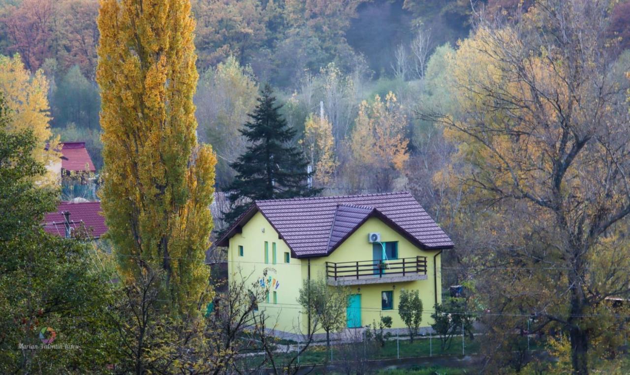 Pensiunea Happy Schitu Topolnitei Kültér fotó